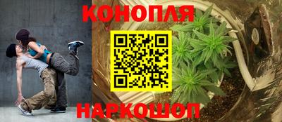 стаф Бугуруслан