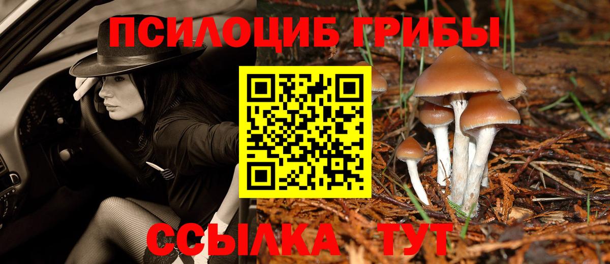 Галлюциногенные грибы MAGIC MUSHROOMS  Вход с VPN  Щёкино  Псилоцибиновые грибы Magic Shrooms 